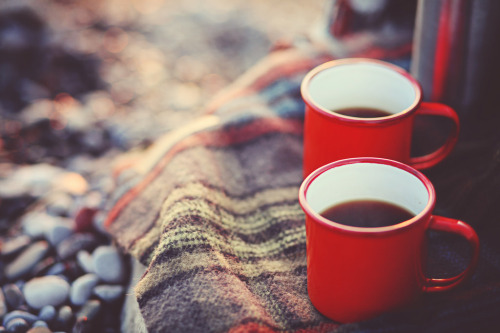 tumblr_n48e1xydfq1qbmsleo1_500